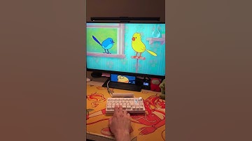 Hadal Ahbek | Bits & Bops