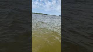 ISLA 🏝 CANGREJO 🦀 EN DESTIN ISLAND FLORIDA