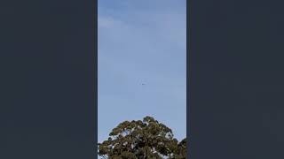 Cointelpro 2.0 Polair Home Harment