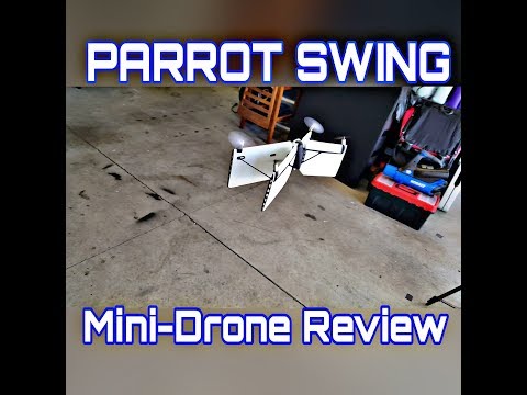 parrot swing tricks