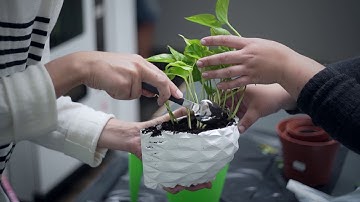 3D printed plant wall project! (Timelapse video)
