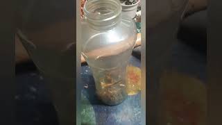 #scrapping #brassygoodess #recycling #copper #scrap #fun