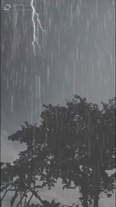 Hujan di sore hari dan di sertai petir dan angin#shortsvideo