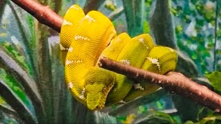 Toronto Zoo - The Best Zoo I Have Ever Visited.