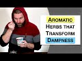  herbology 2 review  aromatic herbs that transform dampness extended live lecture