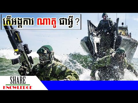 តើអង្គការណាតូ (NATO) ជាអ្វី? ហេតុអ្វីអង្គការនេះហ៊ានគំរាមរុស្ស៊ី?