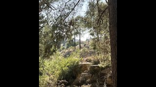 התבודדות מציאת מקום החיבור  לימוד מתוך ליקוטי מוהרן עם הרב יוחאי ימיני