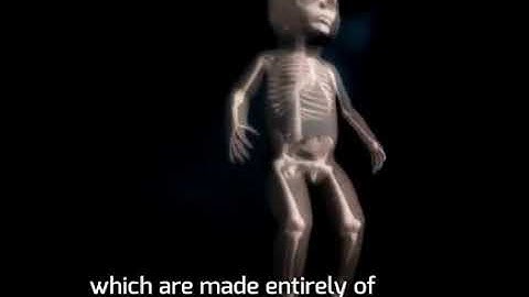 Babies bone development animated video