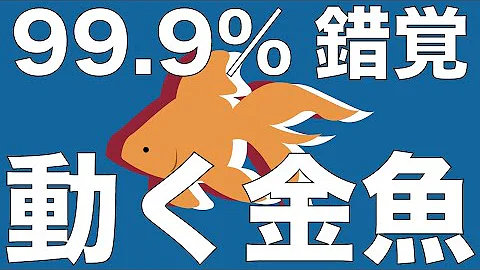 目がおかしくなるトリックアート Mp3 目がおかしくなるトリックアート Mp3