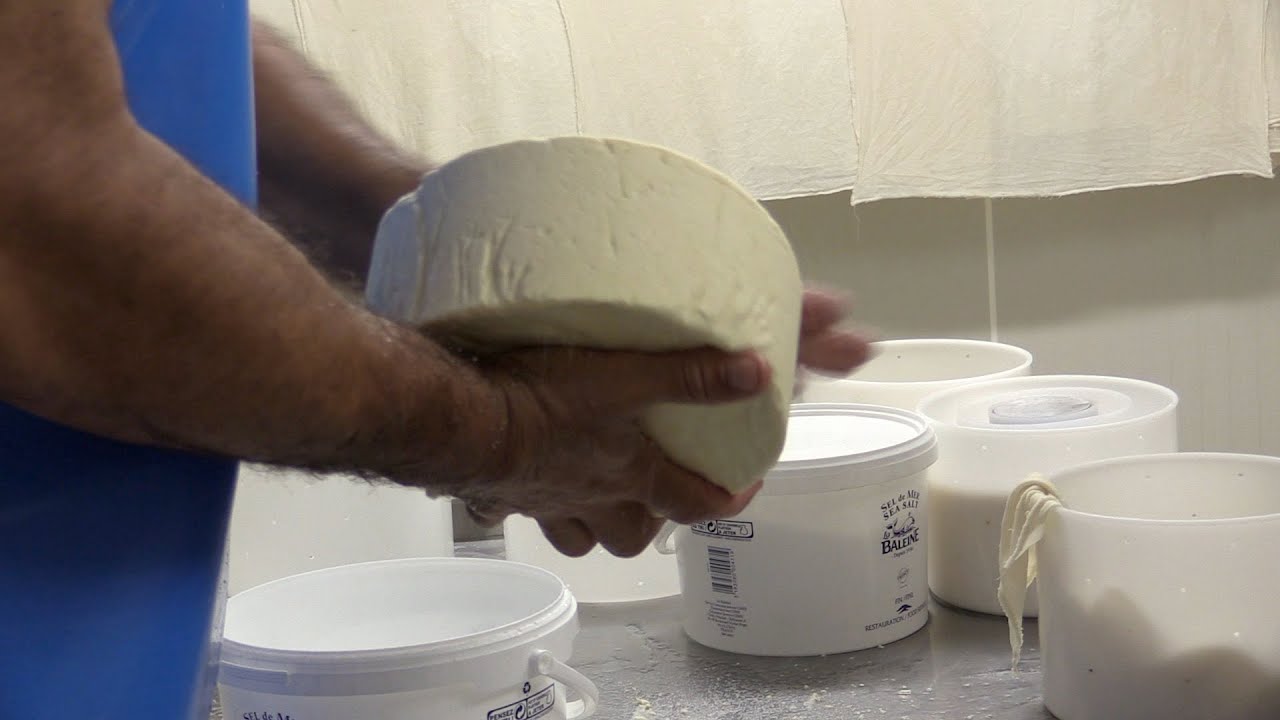 Transformation du lait de vache en briques et tommes chez Patrick Chataing.