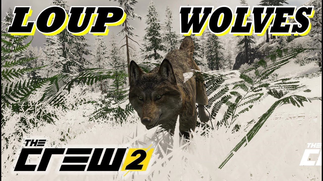 The Crew 2 Loup Wolves Photo Just Dance Avec Les Loups Dance With Wolves Youtube The Crew 2 Loup Wolves Photo Just Dance Avec Les Loups Dance With Wolves Youtube