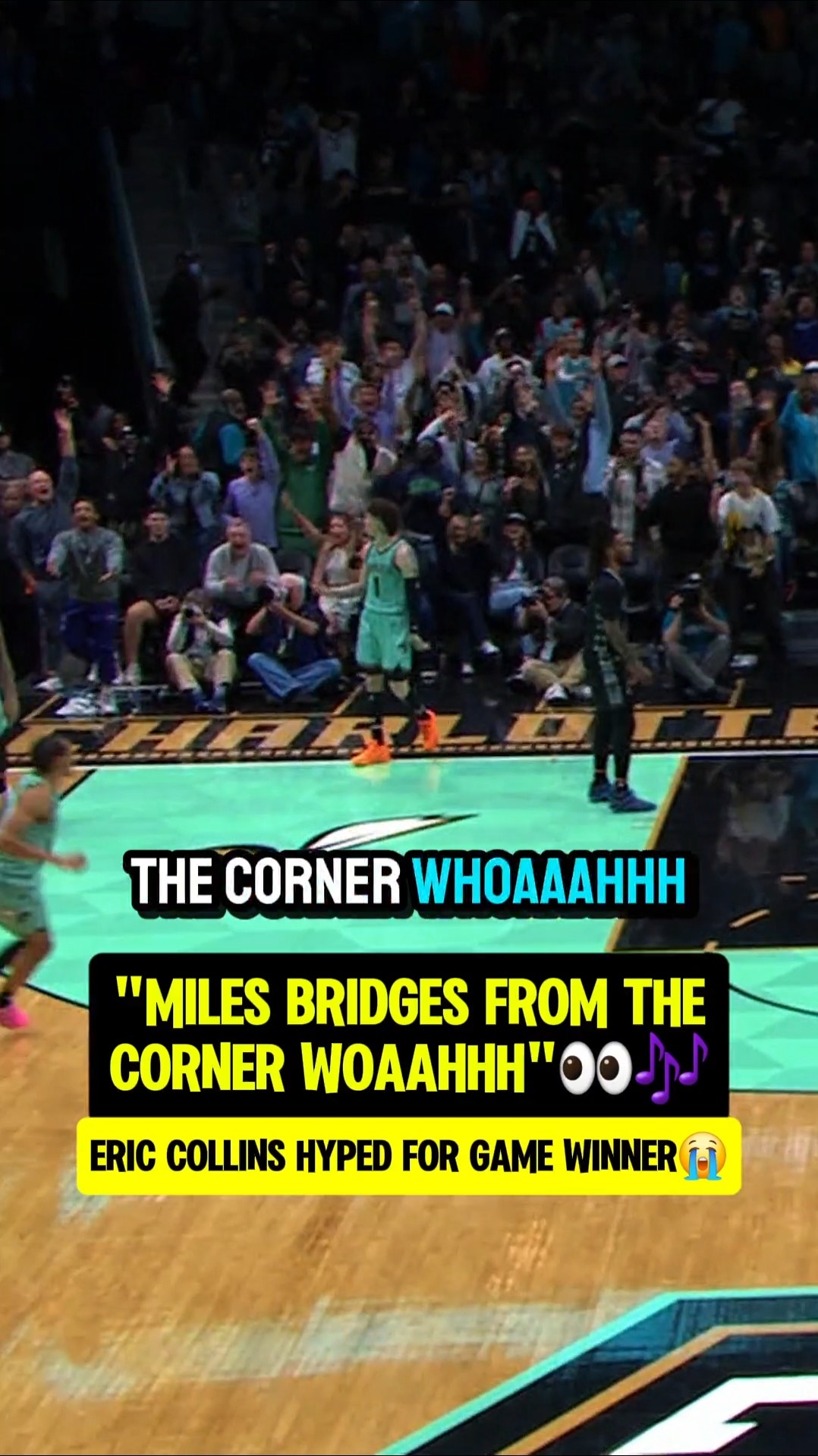 Hornets announcers love Gelo Ball??