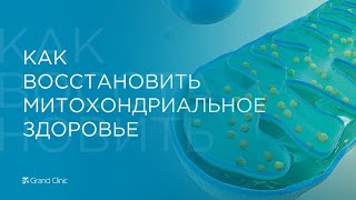 Как восстановить митохондриальное здоровье?