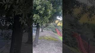 Free way 680 noht Asia Sacramento