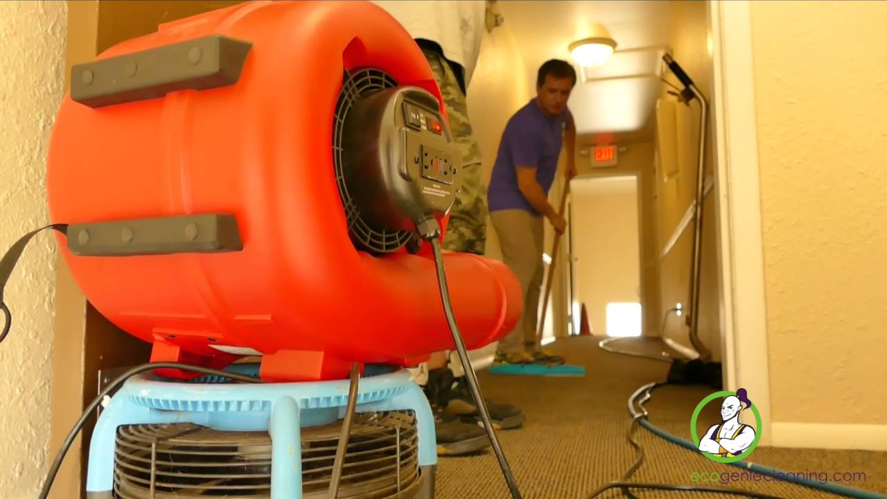 ECOGENIE X CARPET CLEANING