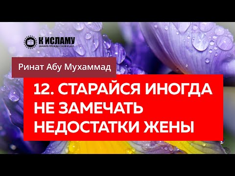 12/40. Старайся иногда не замечать недостатки жены — Ринат Абу Мухаммад