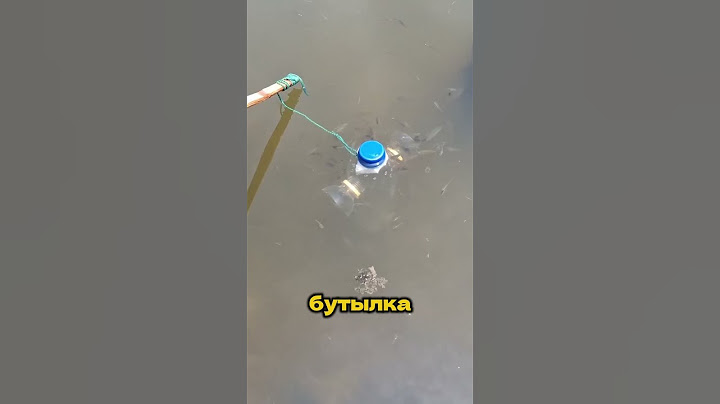 Как легко поймать много рыб #лайфхак