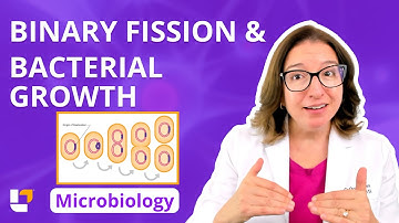 Binary Fission & Bacterial Growth: Microbio Pre-Nursing, Pre-Med & Health Field Careers | @LevelUpRN