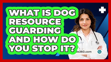 What Is Dog Resource Guarding And How Do You Stop It? - PetGuide360.com