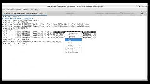 Restore Control file from backup