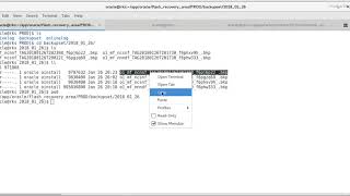 Restore Control file from backup