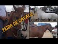 FEIRA DE CAVALOS DE CACHOEIRINHA, 16-12-2021