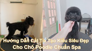 [Hướng Dẫn] Cắt Tỉa Lông Cho Poodle Màu Đen Siêu Đẹp