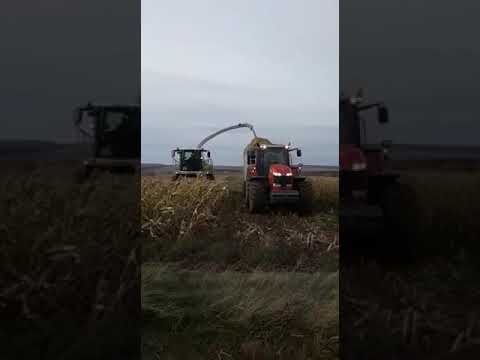 Заготовка кормов