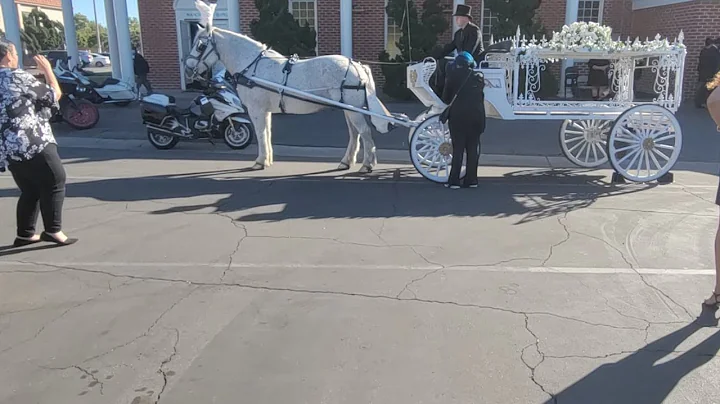 Horse And Carriage for FRANK MADKINS