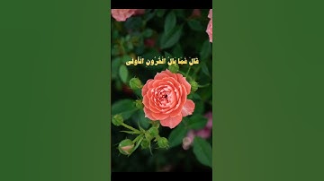 خمنو اسم السوره: اسفه على القطعه من شهرين مانزلت شي بس بأذن الله بكثر لكم مقاطع🥰🩵🌊