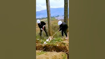 Logging process sharing - good tools can improve the efficiency of doing things