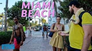 Miami Beach Spring Break 2022 Walk Walking Tour Of Miami Beach During Spring Break 2022