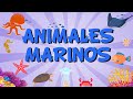ANIMALES MARINOS in Spanish for Children | Educational Videos for Kids
