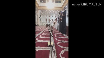 تلاوة مميزة ورائعة للشيخ مصطفى البلوشي من صلاة العشاء بجامع عبد الله بن دهيش١٤٤١/٢/٥