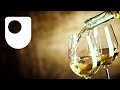 Understanding Alcohol's Effects on the Brain and Body