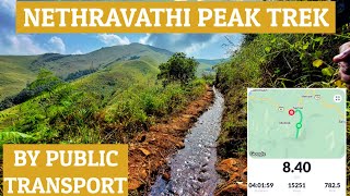 Netravati Peak | Netravathi Peak Trek by Public Transport | Netravati Peak complete guide