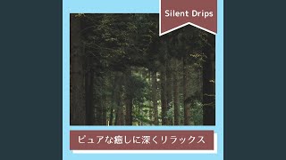 Harmony in Silence's Embrace