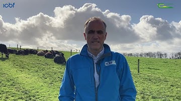 Six Point Breeding Plan - Breeding Week