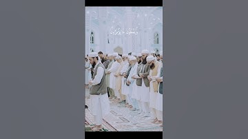 لا اله الا الله محمد رسول #لااله_الا_الله_محمد_رسول_الله #قران_كريم #اتقوا_الله #فلسطين #تلاوة_خاشع