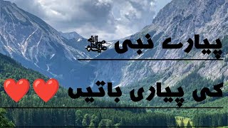 Does Prophet Muhammad Know Allah Better Than Anyone Else?
