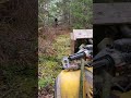 trail clearing