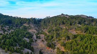 köye gidince aluccuğu ve o klübeyi görmeden dönmek olmaz.☺️👏 (müzik: gergerli hasan - vefasız) Resimi