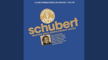 Sonate pour piano No. 15 in C Major, D. 840 "Reliquie": I. Moderato