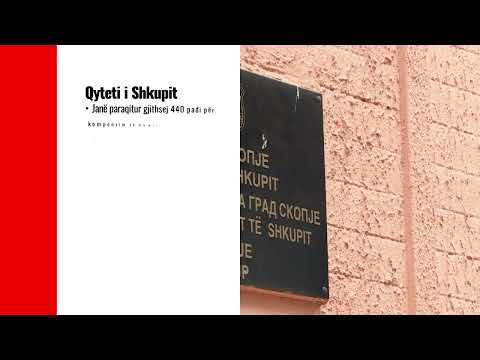 QYTETI I SHKUPIT / Qindra padi për dëme nga qentë, mbi 1300 lëndë nga qytetarët
