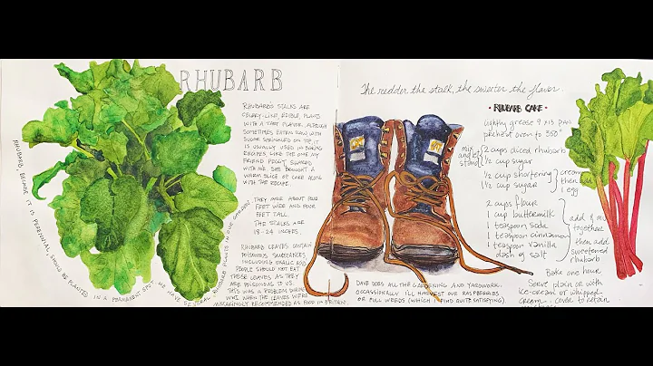 Backyard Chronicles Sketchbook (a work in progress)
