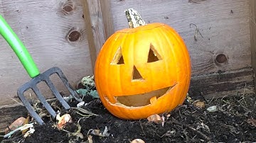 Compost Your Jack-O