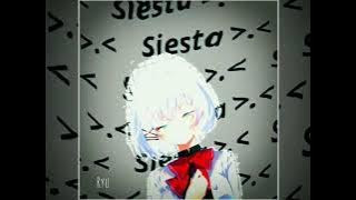 Preset Alight Motion - Siesta 🐾 - Dj Side To Side Wilfex Bor 🎵 - Viral Tik Tok