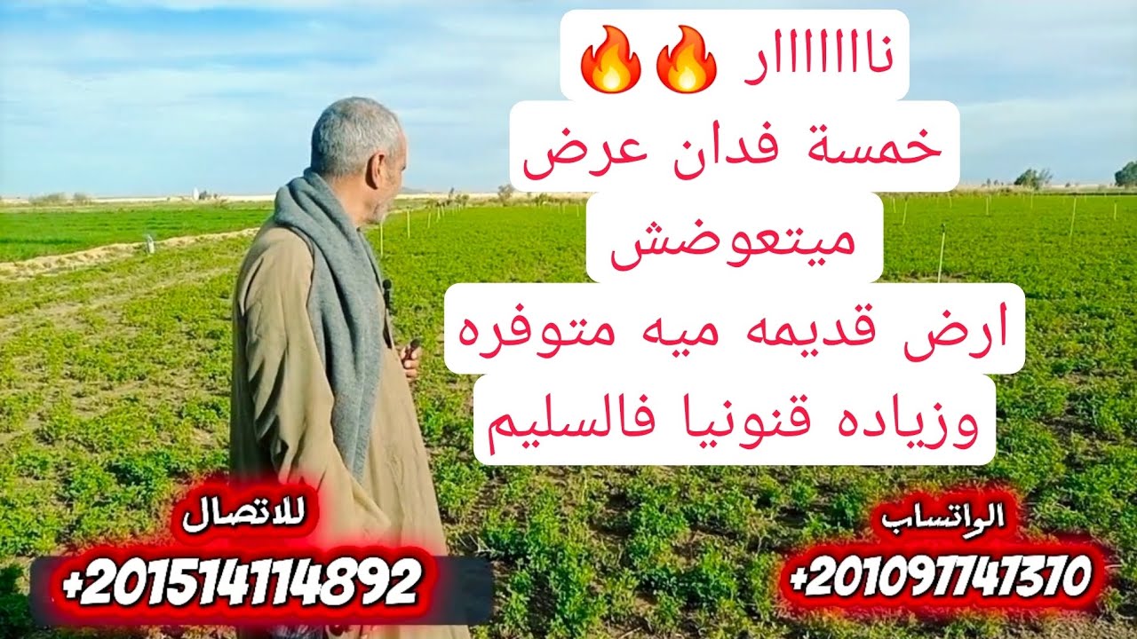 خمسة فدان ارض قديمه وممتاذه 