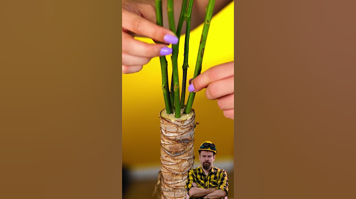 Butch REACT to Easy and Simple Backyard Hacks  #hacks