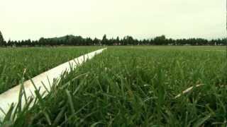 Chasing Sarasota - Opening Scene